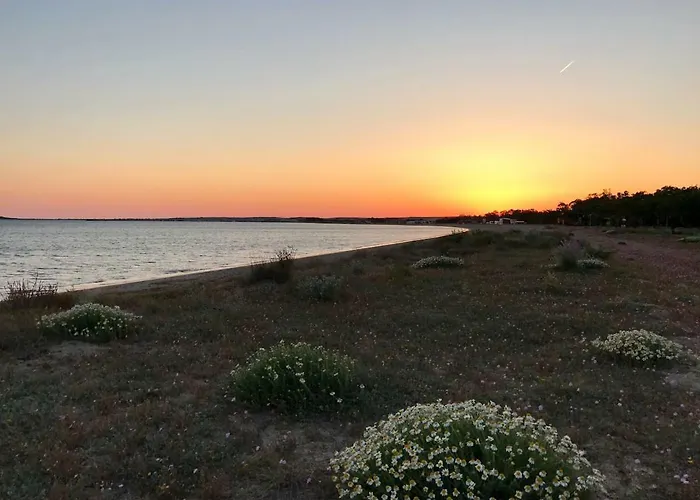 Casa Ferreri 度假居 *